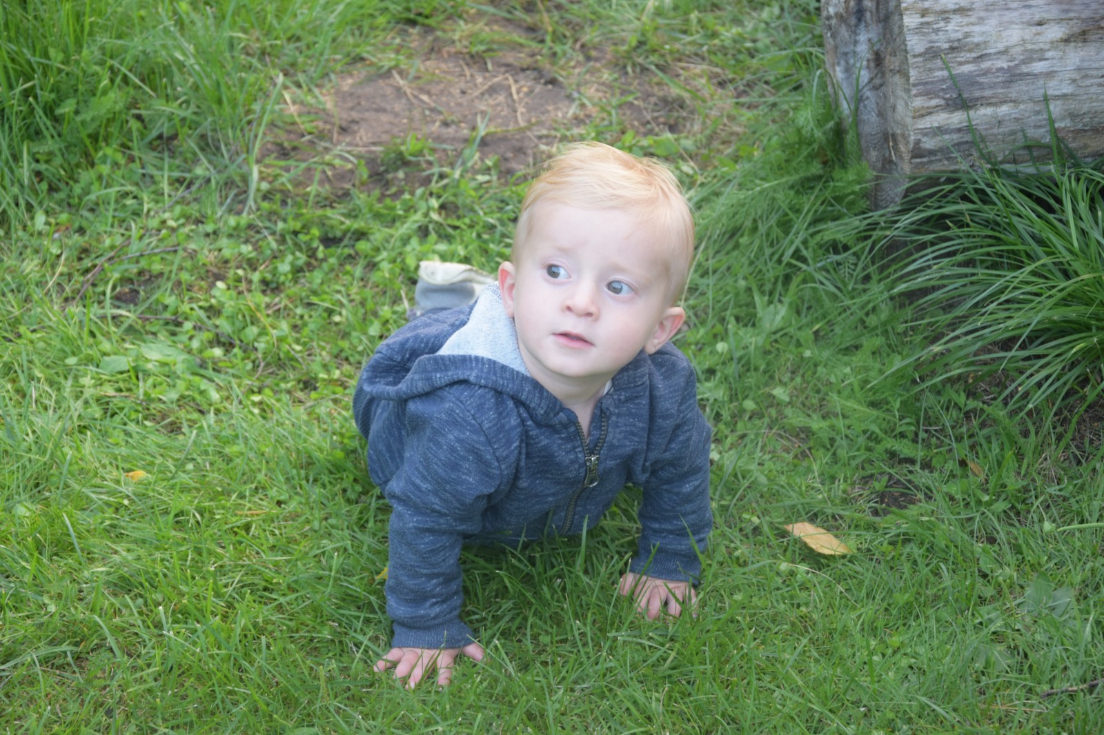 Vasaras nometne Otaņķu pagasta Rijniekos | Patvērums Drošā Māja