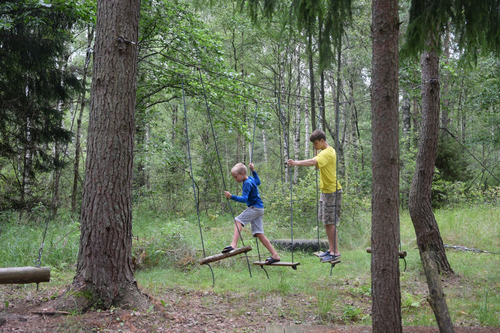Vasaras nometne Otaņķu pagasta Rijniekos | Patvērums Drošā Māja