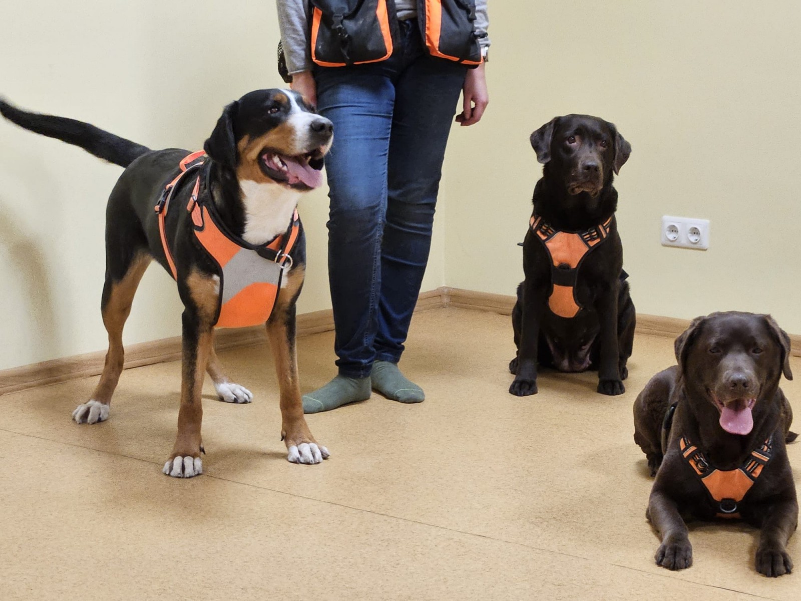 Ukraiņu sieviešu atbalsta grupa Liepājā 21.02.2024. | Patvērums Drošā māja