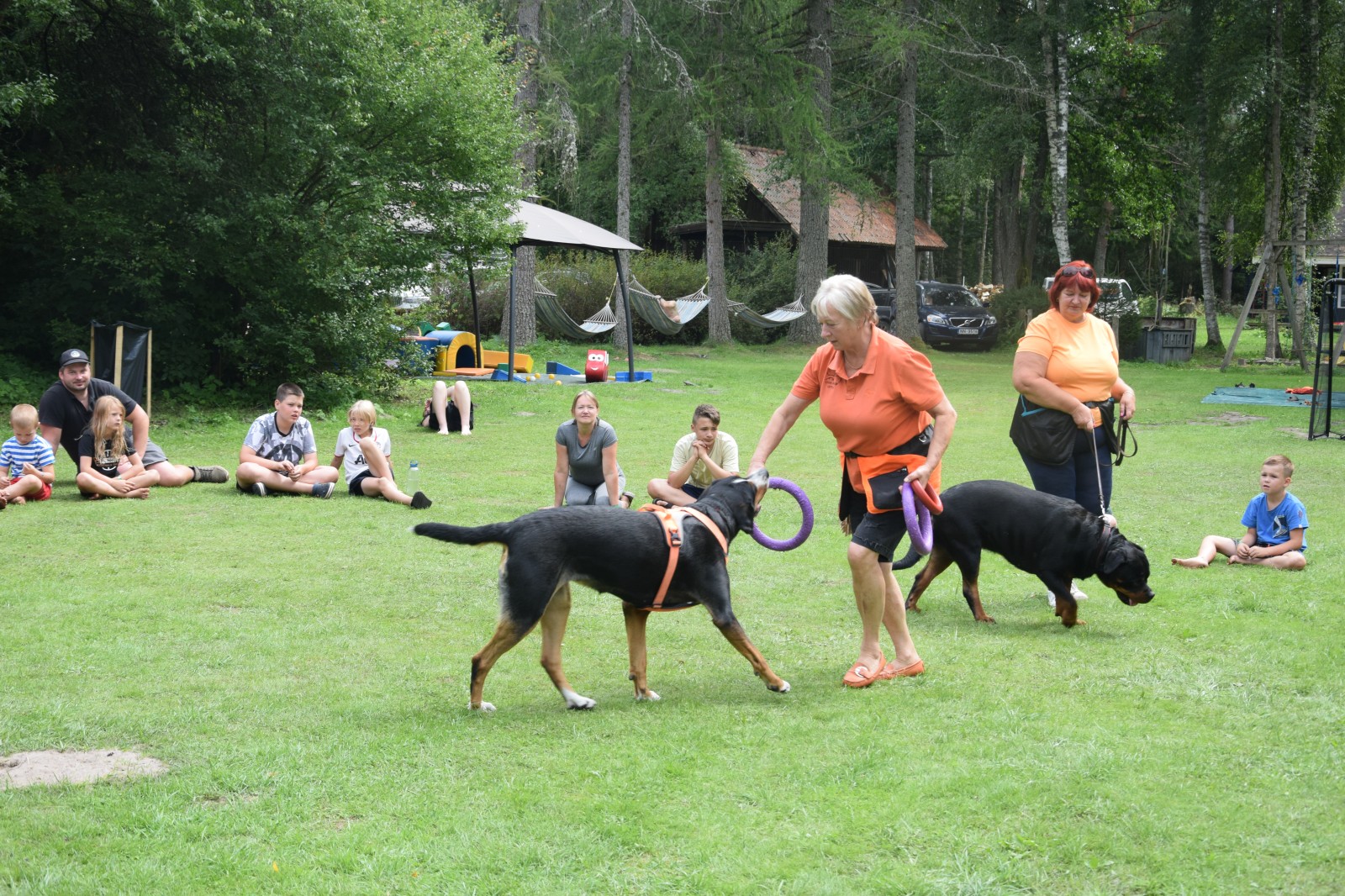 Ukraiņu un latviešu ģimeņu vasaras nometne 2024. gada 26.-28. jūlijā | Patvērums Drošā māja