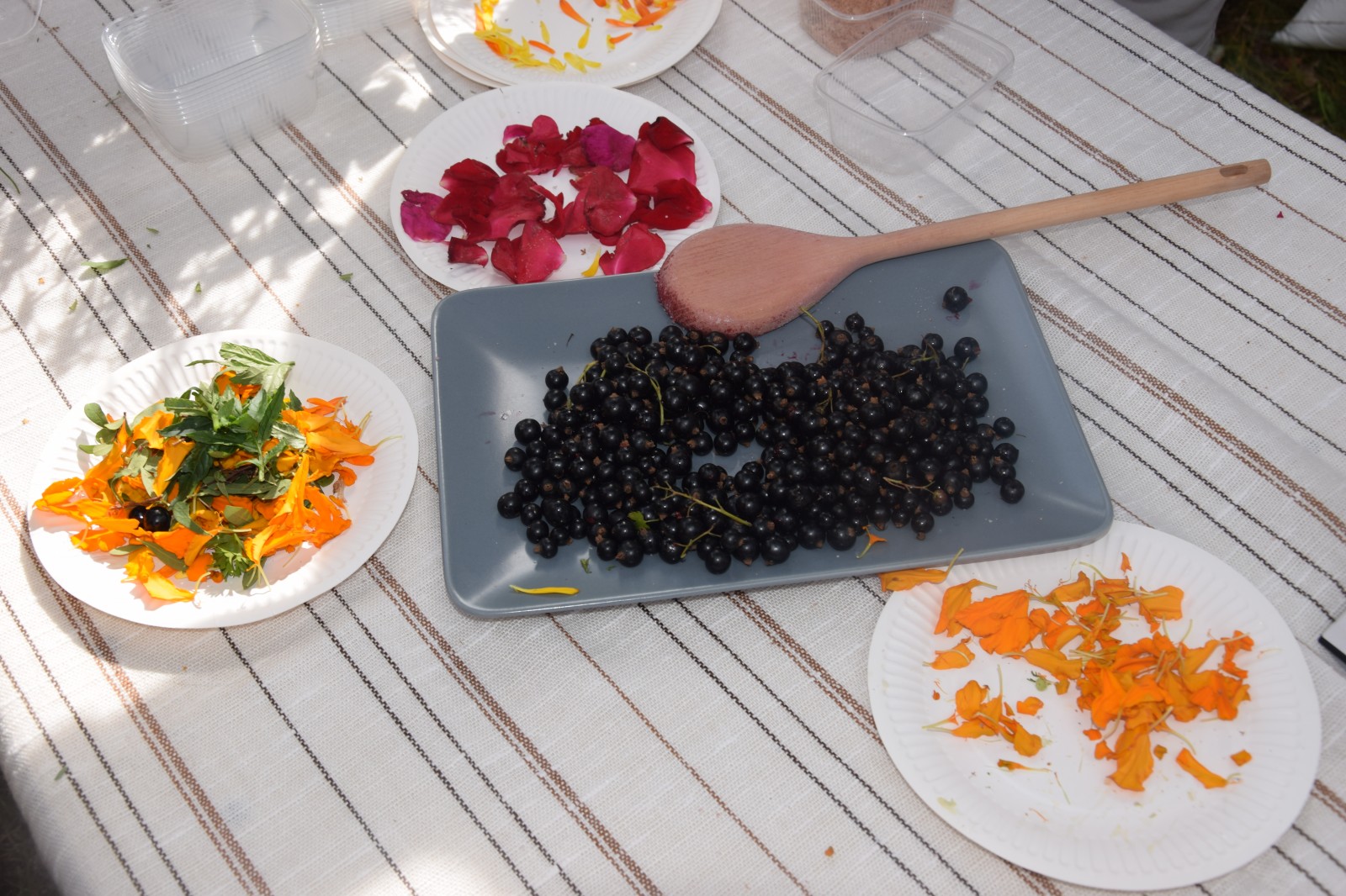 Vasaras nometne Otaņķu pagasta Rijniekos | Patvērums Drošā Māja